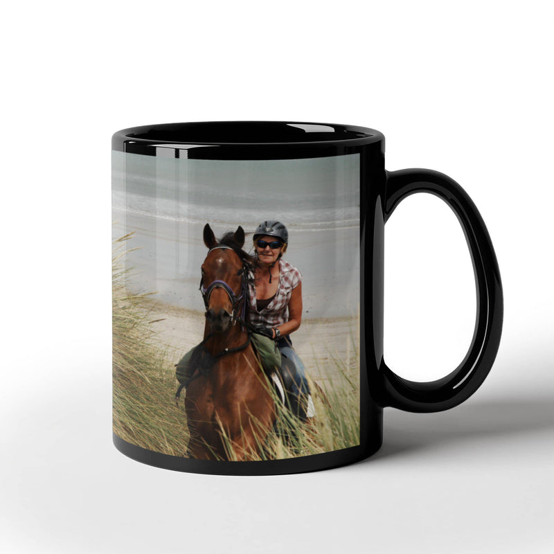 My Favourite Horses